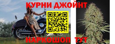 прущие грибы Беслан