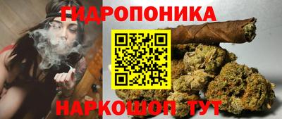 PSILOCYBIN Балаково