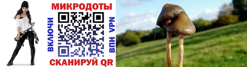 Псилоцибиновые грибы мухоморы  блэк спрут как войти  Красноярск  закладка 