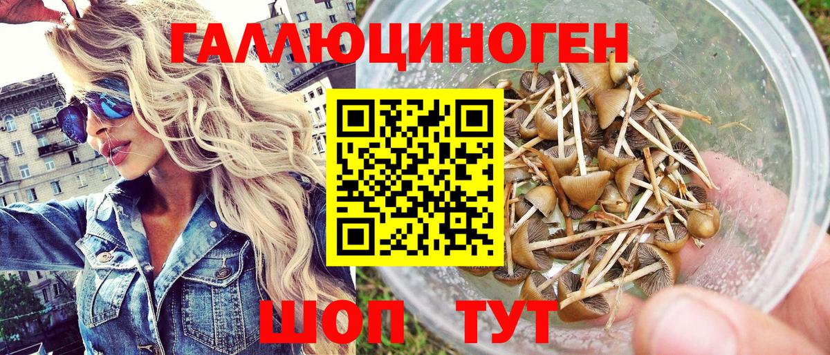 Псилоцибиновые грибы Psilocybe  сколько стоит  Псилоцибиновые грибы MAGIC MUSHROOMS  Красноярск 